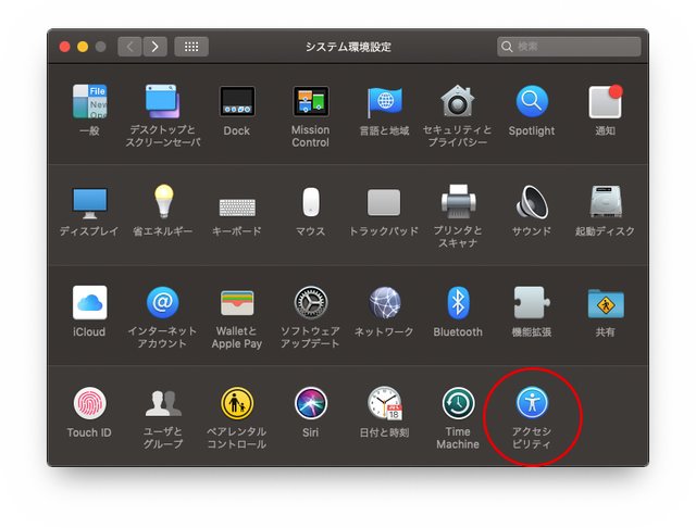 システム環境設定のアクセシビリティ項目